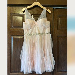 NWT Adriana Papell  Size 12 pink chiffon short dress with rhinestone waistline